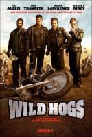 WildHogs_f.jpg